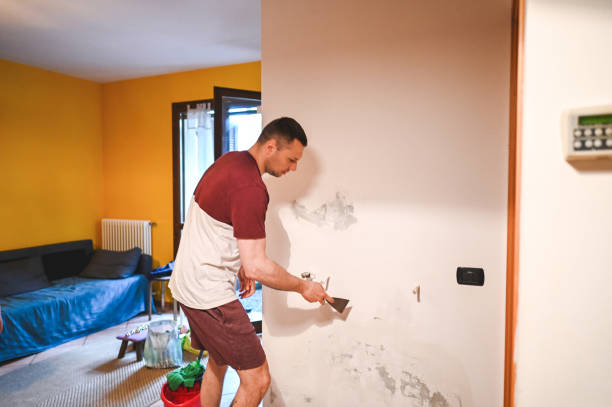 Best Mold Remediation  in Stanley, WI